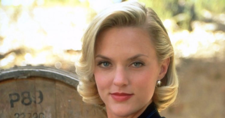 Elaine Hendrix Wants Justice For Meredith Blake in "The Parent Trap" Anniversary TikTok